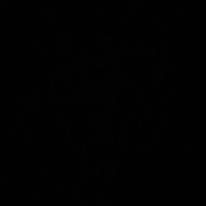 Meet your Posher, Gracie